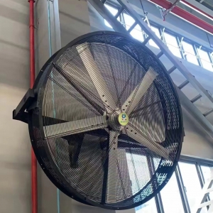 Wall mounted fan