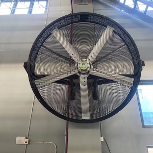 Wall mounted fan