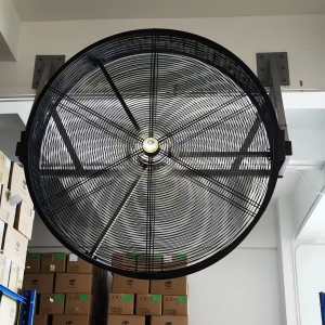 Wall mounted fan
