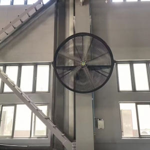 Wall mounted fan